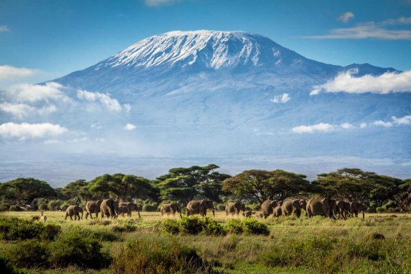 Kilimandzharo